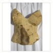 torso1